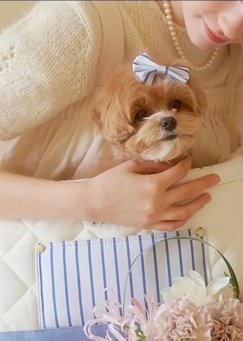 Kedi Köpek Taşıma Çantası - Görsel 2