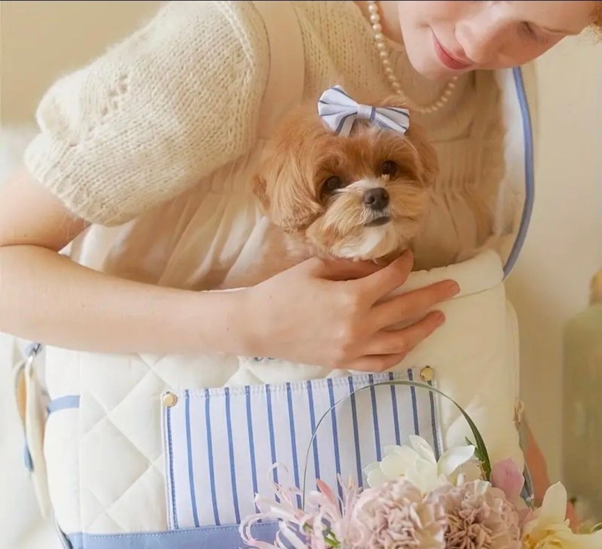 Kedi Köpek Taşıma Çantası - Görsel 2