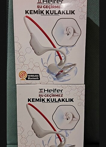 Heifer kemik kulaklik 