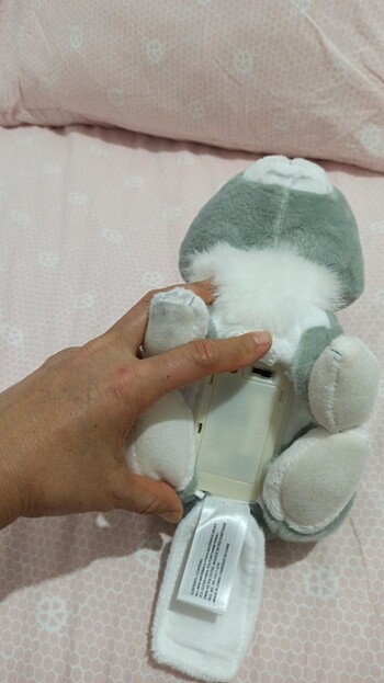 Yürüyen ve ses çıkartan tavşan  - Görsel 6