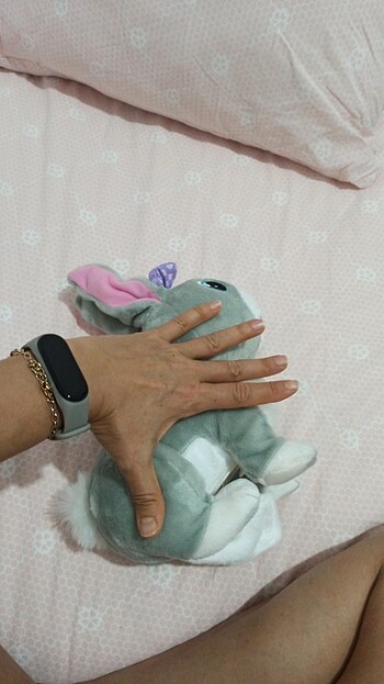 Yürüyen ve ses çıkartan tavşan  - Görsel 7