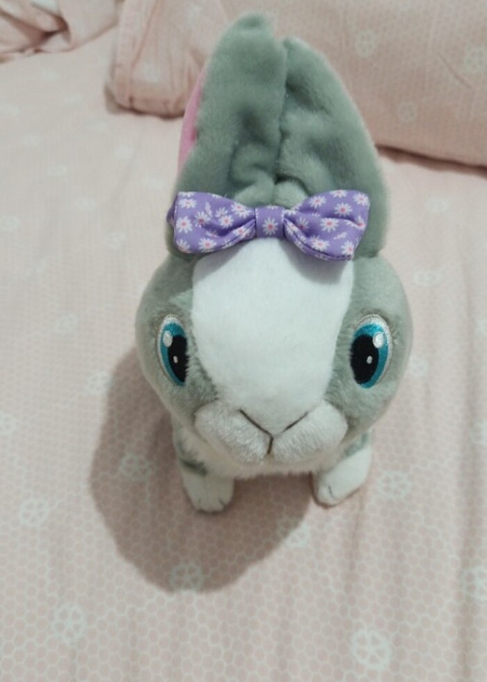 Yürüyen ve ses çıkartan tavşan  - Görsel 2