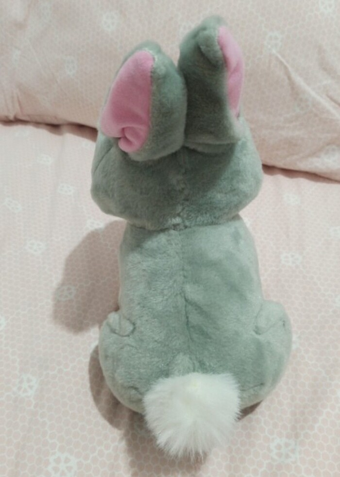 Yürüyen ve ses çıkartan tavşan  - Görsel 4