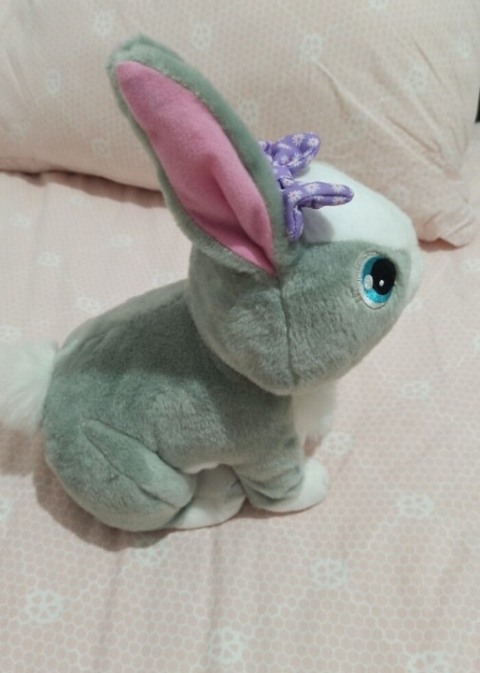 Yürüyen ve ses çıkartan tavşan  - Görsel 5