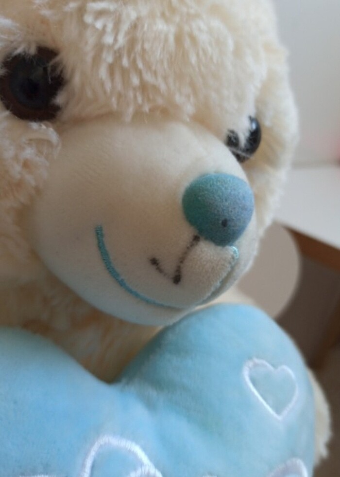 Peluş oyuncak ayi - Görsel 3