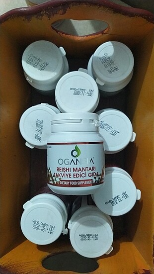 OGANSIA REISHI MANTARI 