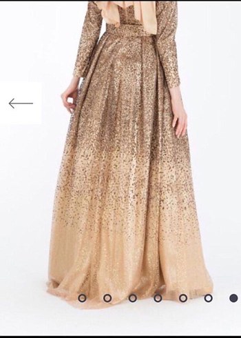 Armine Parlak Bej Uzun Kollu Abiye Elbise - Görsel 5