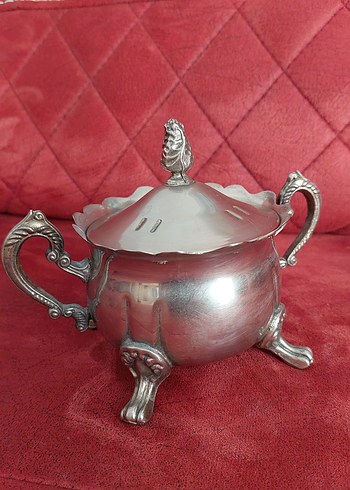 Parlak kapaklı gümüşlük - Görsel 2