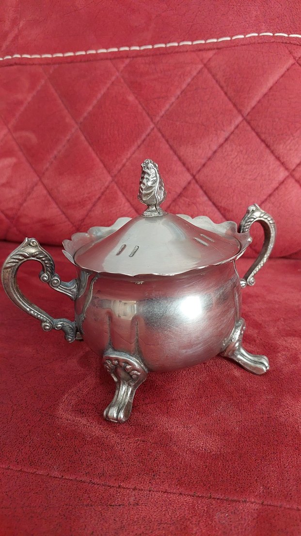 Parlak kapaklı gümüşlük - Görsel 2