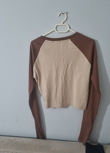 Uzun kollu crop