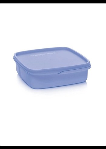 Beden Tupperware lila Bölmeli Plastik Saklama Kabı