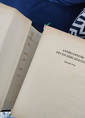 Ansiklopedik divan şiiri sözlüğü