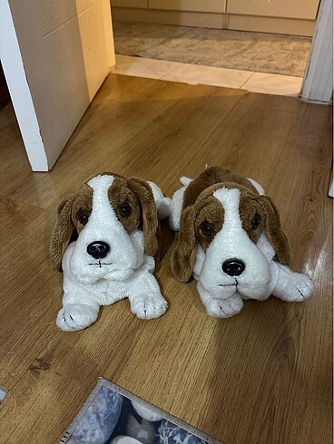 Köpekli panduf