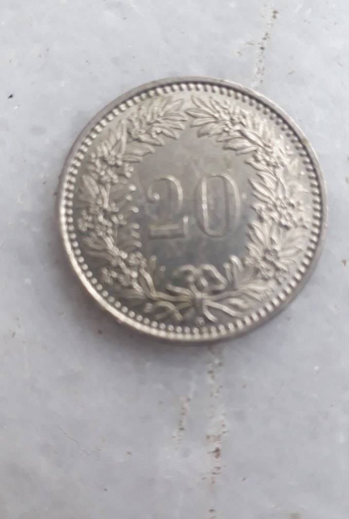 Vintage Gri Erkek Rozeti - Görsel 3