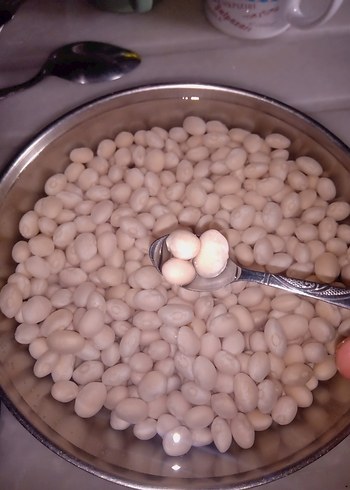 Şeker fasülye - Görsel 3