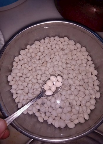 Şeker fasülye - Görsel 2