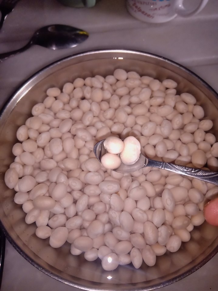 Şeker fasülye - Görsel 3