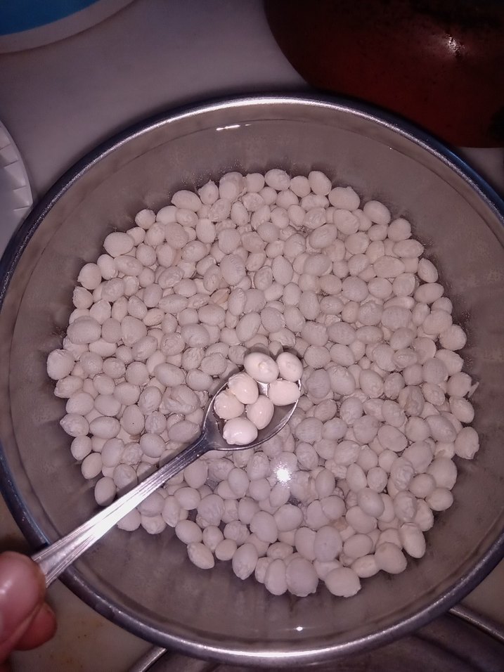 Şeker fasülye - Görsel 2