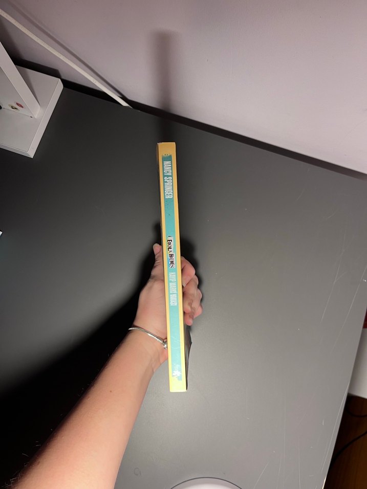 Enola Holmes Roman Kitabı - Görsel 3