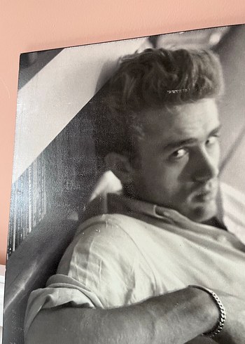 James Dean Biyografi Kitabı - Görsel 2