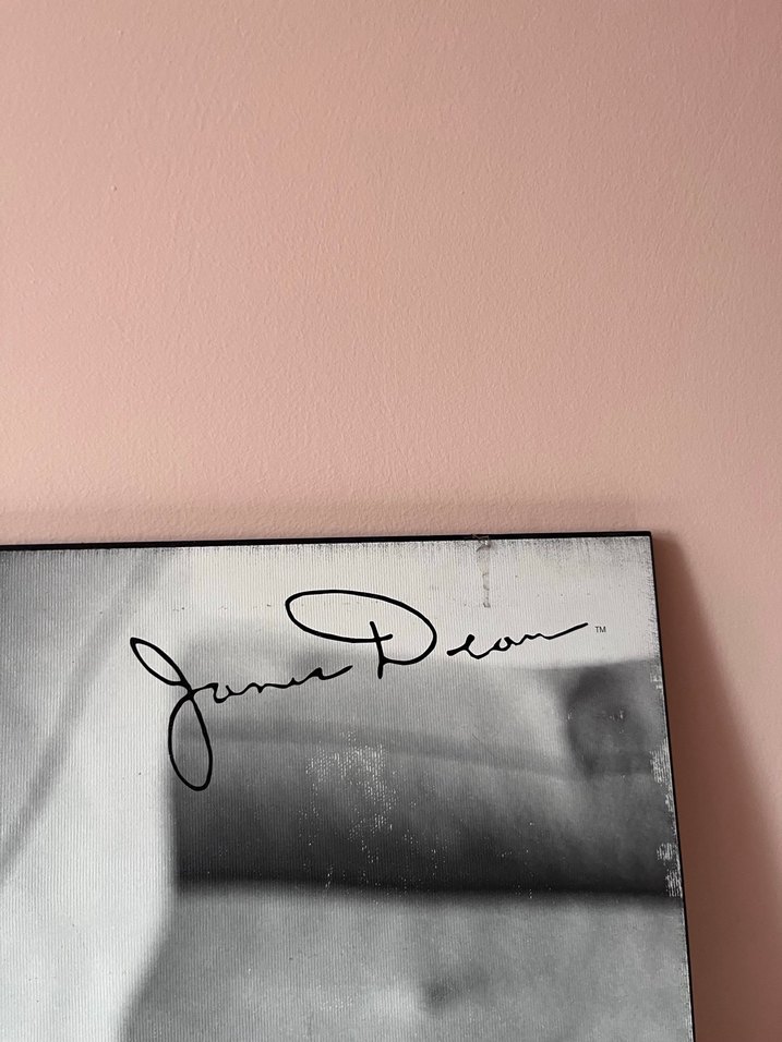 James Dean Biyografi Kitabı - Görsel 3