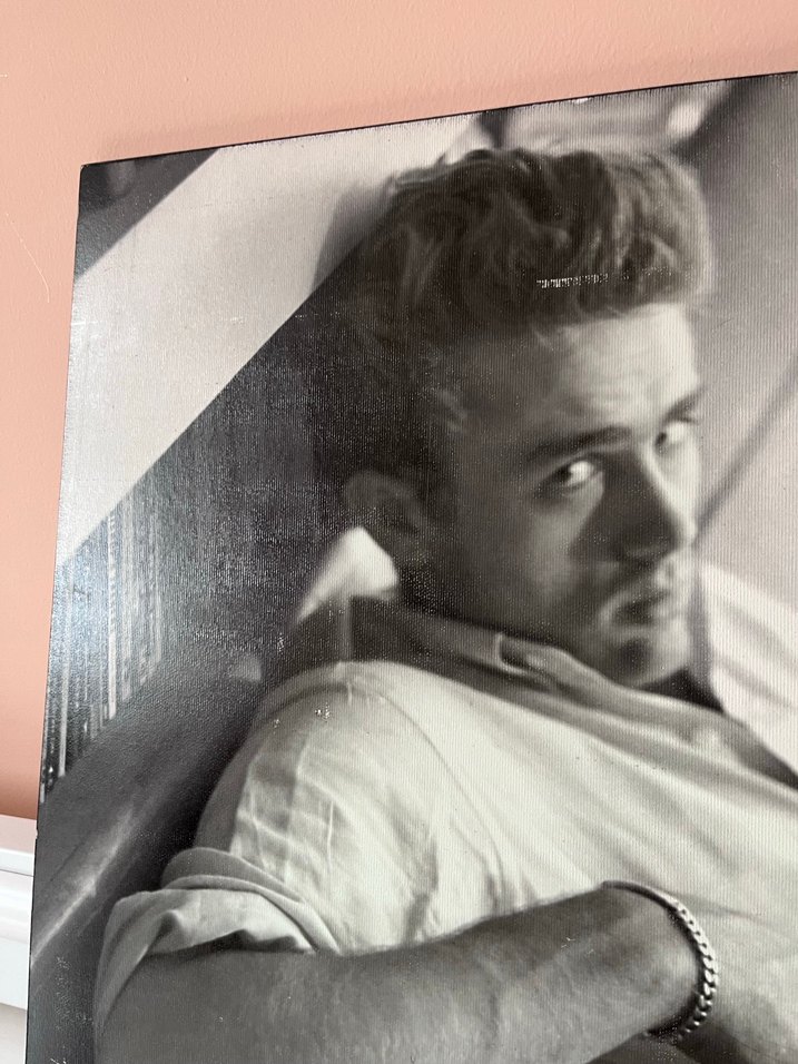James Dean Biyografi Kitabı - Görsel 2