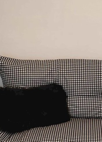 Çok Renkli Desenli kumaş 250 metre si - Görsel 2