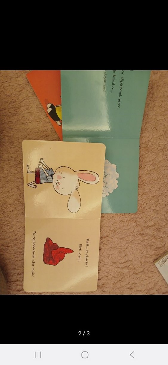 Tavşancığın Yağdırır Mısın? Çocuk Kitapları - Görsel 2