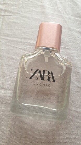Zara Orchid 