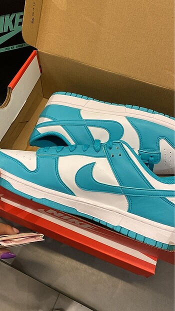 Dunk low