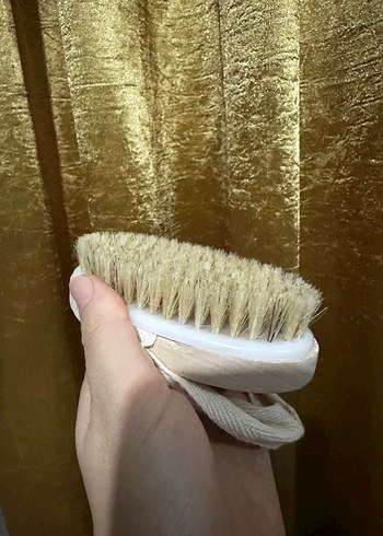 Parlak Bej Fırça - Görsel 2