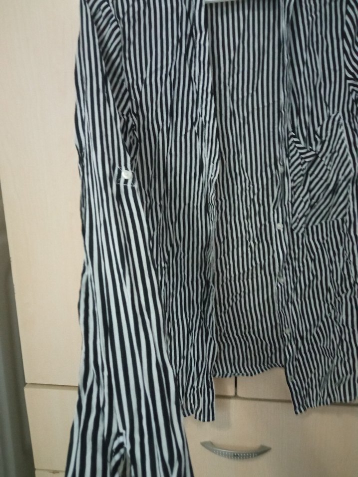 Gri Zebra Desenli Uzun Kollu Kadın Gömlek - Görsel 3