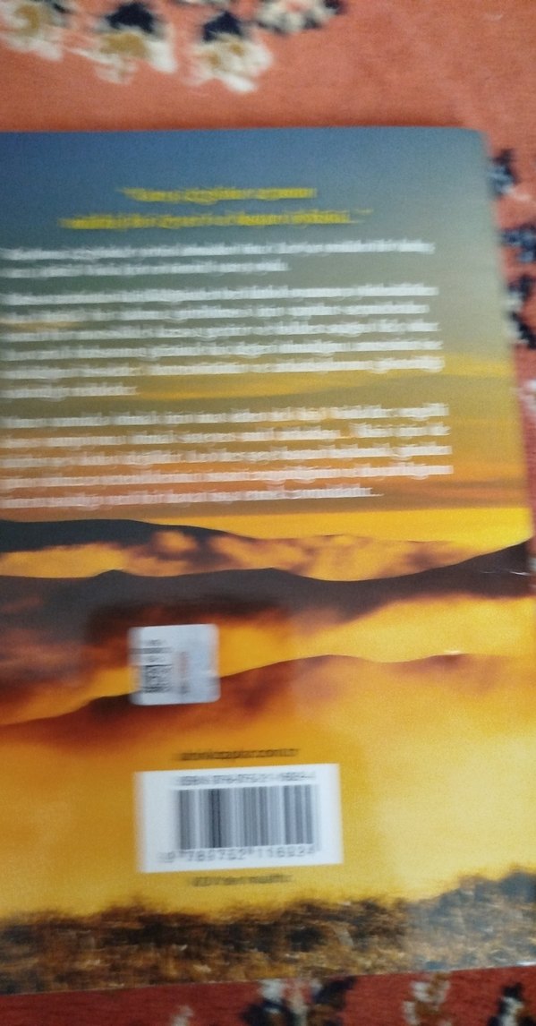 Varış Çizgisi Kitabı - Paola Zannoner - Görsel 2