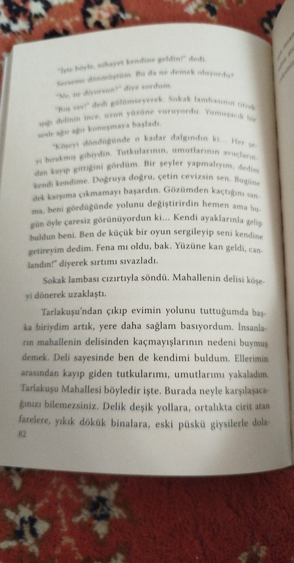 Tarlakuşu Mahallesi Kitap - Başak Baysallı - Görsel 3