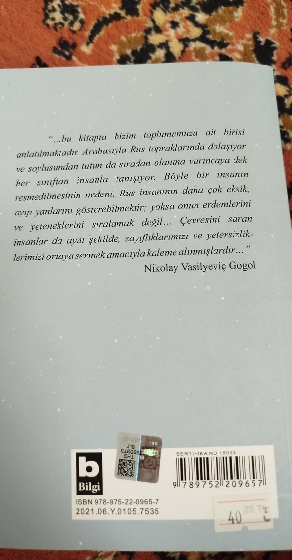 Nikolay V. Gogol - Ölü Canlar Kitap - Görsel 2