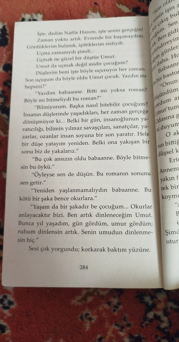 Mor Odanın Gizli Gençlik Romanı - Görsel 3