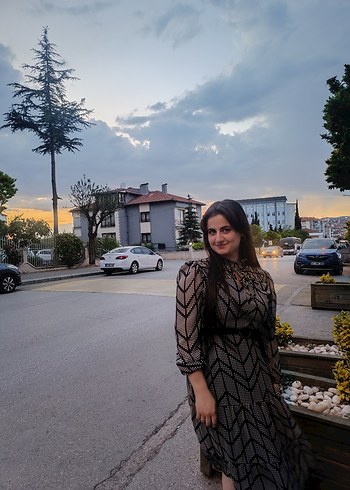 Uzun Siyah Zebra Desenli Transparan Elbise