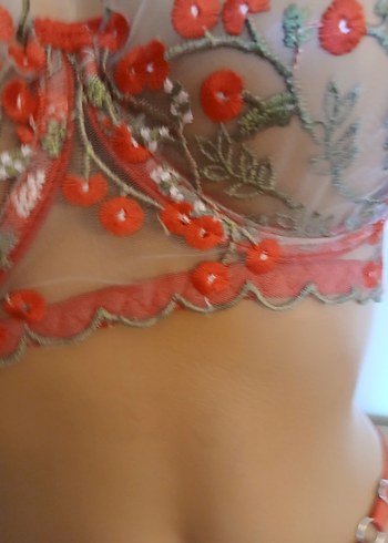 Kırmızı Nakışlı Bohem Sütyen ve Külot Takımı - Görsel 6