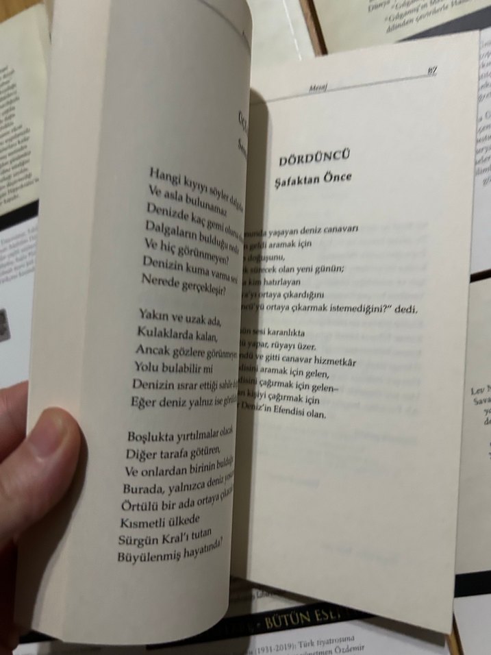 Fernando Pessoa - Mesaj Romanı - Görsel 3