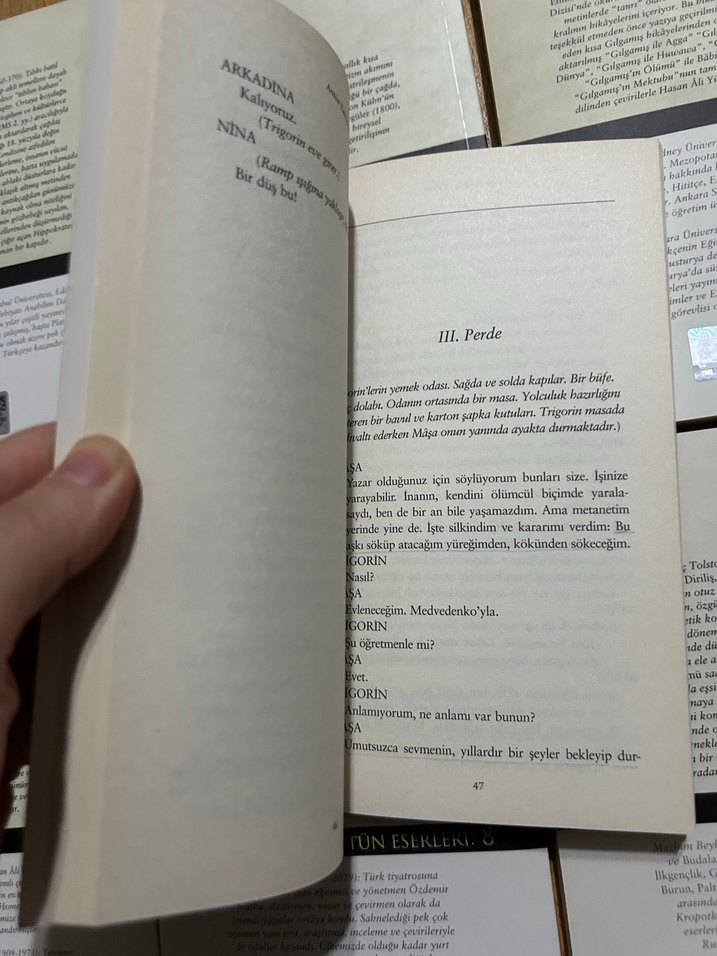 Anton Çehov - Martı (Modern Klasikler Dizisi 34) - Görsel 4