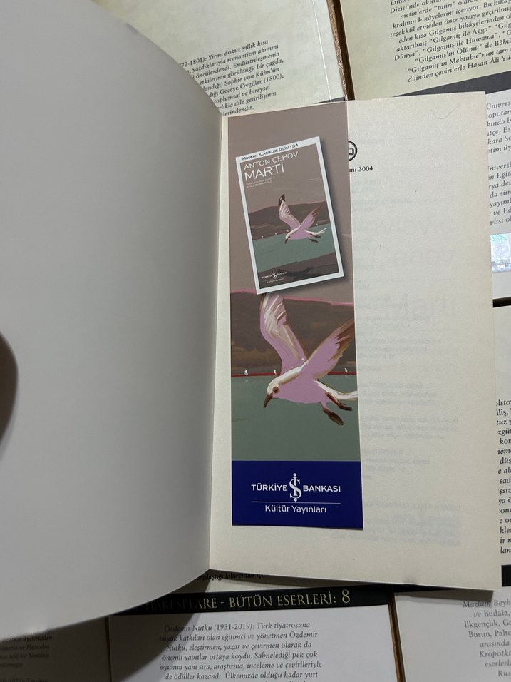 Anton Çehov - Martı (Modern Klasikler Dizisi 34) - Görsel 5