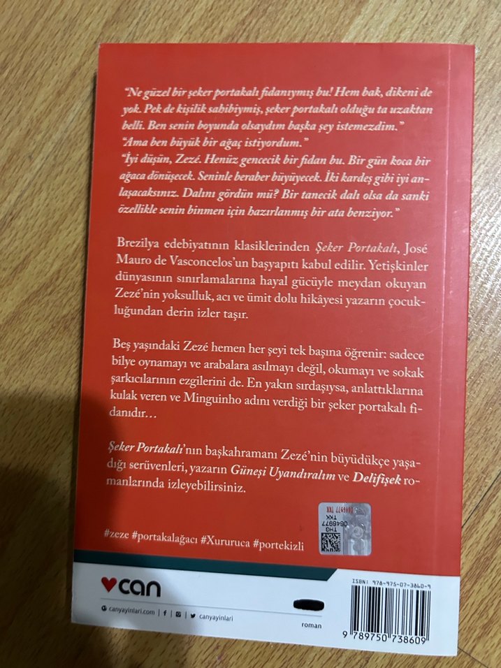 Şeker Portakalı - José Mauro de Vasconcelos - Görsel 2