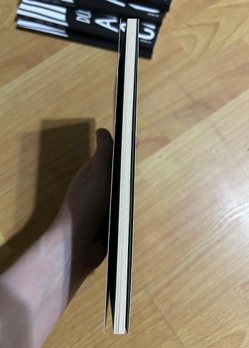 Ahlar Ağacı - Didem Madak - Görsel 3