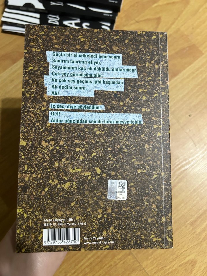 Ahlar Ağacı - Didem Madak - Görsel 2