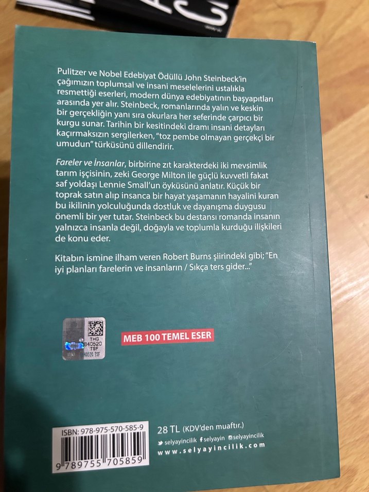 Fareler ve İnsanlar - John Steinbeck - Görsel 2