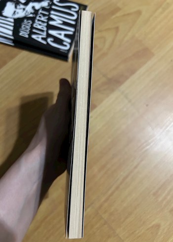 Yabancı - Albert Camus - Görsel 3