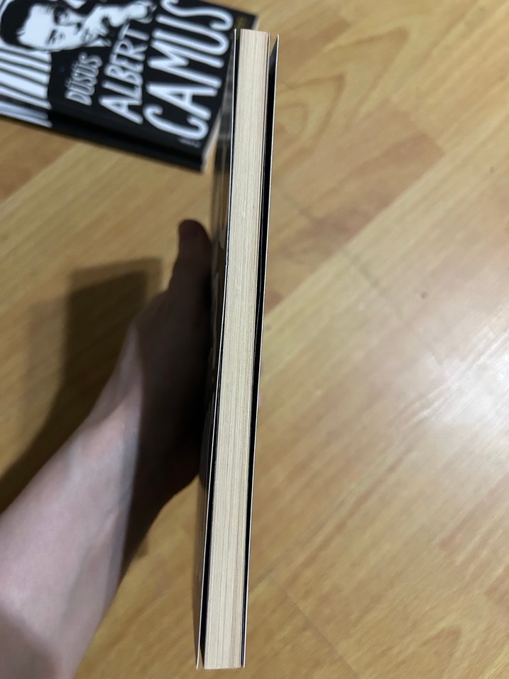 Yabancı - Albert Camus - Görsel 3