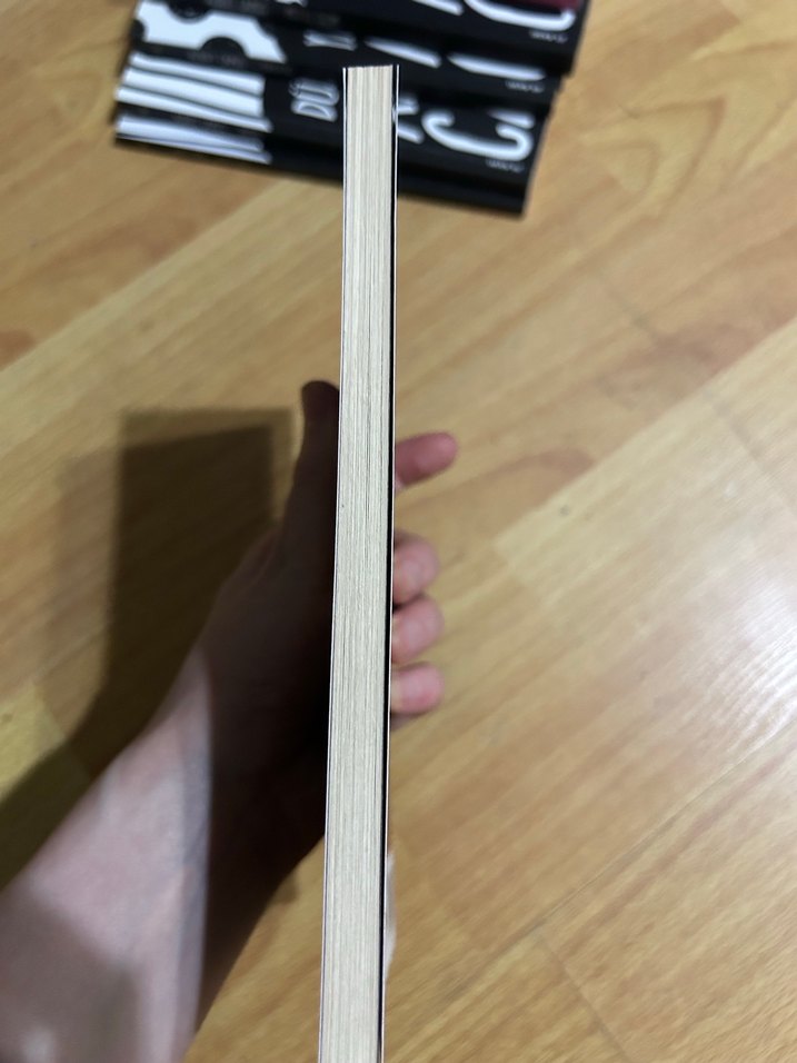 Kırmızı Pazartesi - Gabriel García Márquez - Görsel 3