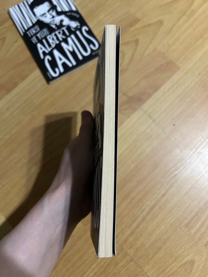 Düşüş - Albert Camus - Görsel 3