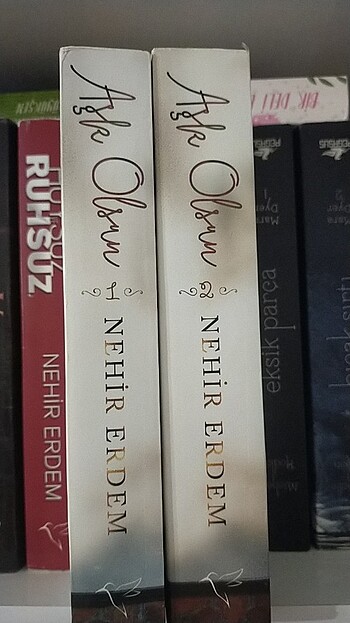 Nehir erdem